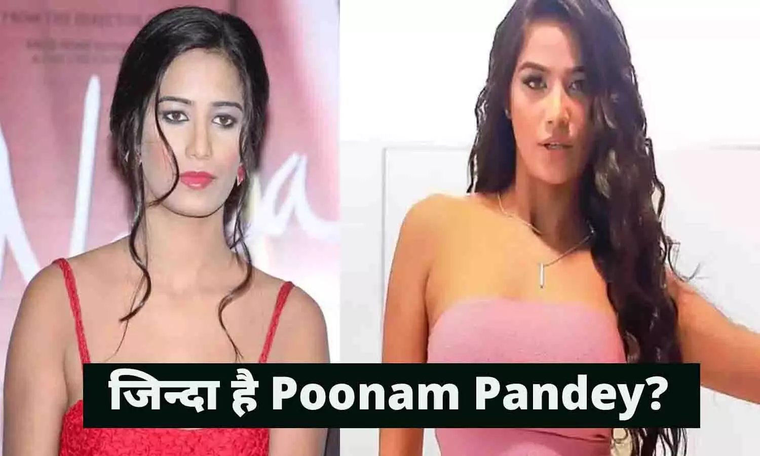 Poonam Pandey Death news